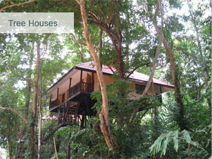 Tree Tops Jungle Safaris: Tree Houses